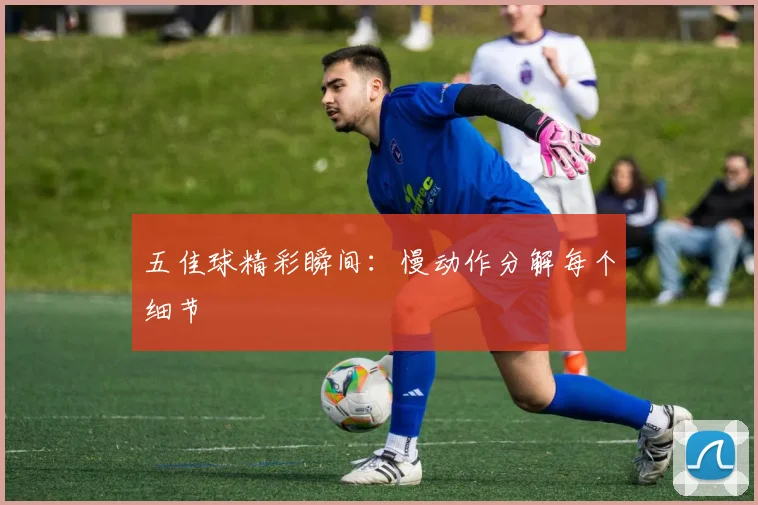 五佳球精彩瞬间:慢动作分解每个细节
