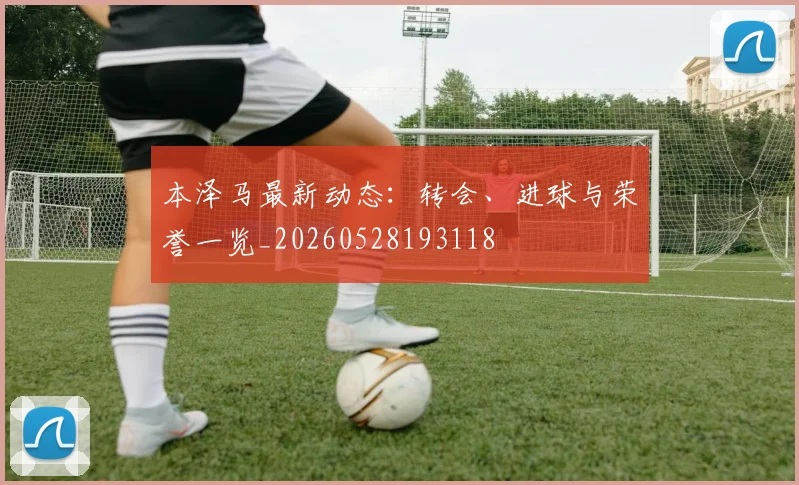 本泽马最新动态:转会、进球与荣誉一览_20260528193118